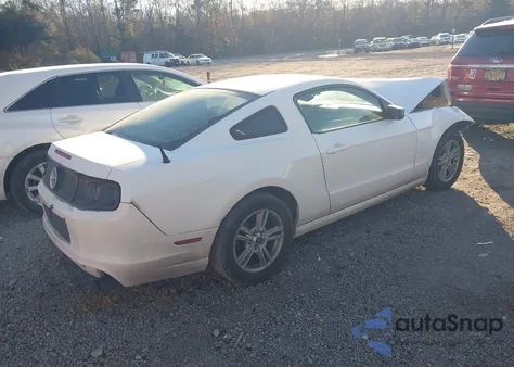 2013 Ford Mustang V6 z USA, uszkodzony, nr VIN 1ZVBP8AM3D5211767